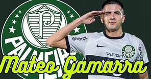 Tudo o que você precisa saber sobre o "monstruoso" Mateo Gamarra, especulado no Palmeiras