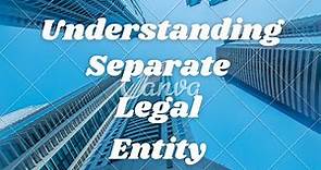 Separate Legal Entity.. The main characteristics of a Company.