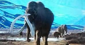 Prehistoric Park Mammoth Attack
