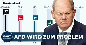 AFD-HYPE KNABBERT AN KANZLER: Scholz tut rechtsradikale Populisten als "Schlechte-Laune Partei" ab