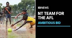 Northern Territory AFL taskforce pushes for locally-based team l ABC News