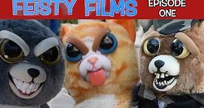 Feisty Films Episode 1: Invasion of the Feisty Pets