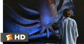 The Squid and the Whale (8/8) Movie CLIP - Seeing the Squid and the Whale (2005) HD