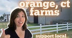 Orange CT Local Farms and Where to Find Them and How to Support Them