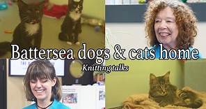 "There is always the right person out there for the right cat" | Knitting TalksI Tom Daley
