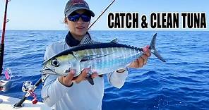 CATCH & CLEAN TUNA 🍣🎣 How to catch Blackfin Tuna | Gale Force Twins