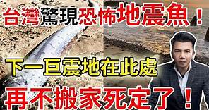台灣驚現恐怖地震魚！神明預警：下一巨震地點在此處！再不搬家就死定了！|#運勢 #風水 #佛教 #生肖 #佛語禪心