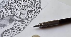 Tutorial Muy fácil dibuja un jaguar paso a paso.