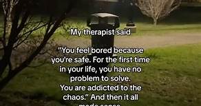@magnesiumspray_ on Instagram: "my therapist said: “You feel bored because you’re safe. For the first time in your life, you have no problem to solve. You are addicted to the chaos."