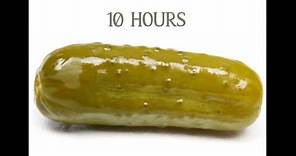 Pickle Song for 10 hours