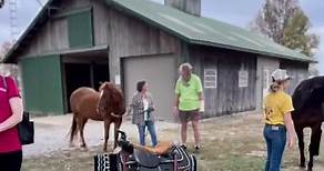Congratulations & Welcome to the Greater Salem Area Chamber of Commerce Emmanuel Equine Ministry ! | Salem Illinois Chamber of Commerce