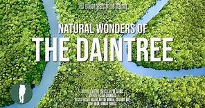 Daintree Rainforest Documentary in 4K | Australia Nature | Queensland | Original Documentary