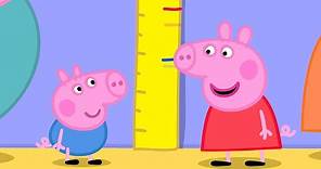 ¿Cuánto mide George? | Peppa Pig en Español Episodios Completos