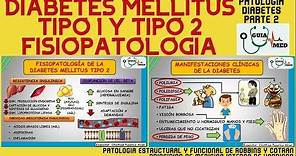 FISIOPATOLOGÍA DE LA DIABETES MELLITUS TIPO 1 Y TIPO 2 | GuiaMed
