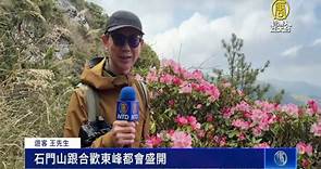 合歡山「玉山杜鵑」盛開 遊客盡享美景 - 新唐人亞太電視台