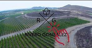 Bodega Rivero Gonzalez, Valle de Parras, Coahuila, MEXICO. Vineyards and drone