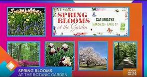 Spring into the Memphis Botanic Gardens!