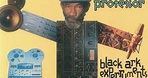Lee "Scratch" Perry & Mad Professor - Black Ark Experryments