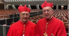 Cardenales del Perú expresan su alegría