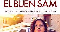 El buen Sam - película: Ver online completas en español
