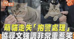 萌胖貓走失「抱警處理」! 協尋文強調「非常重」惹笑｜擠看看｜TVBS新聞@TVBSNEWS01