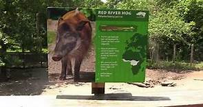 Kansas city zoo Full tour 2023 - Part 2