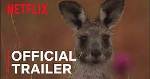 Kangaroo Valley | Official Trailer - Netflix
