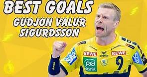 BEST GOALS OF Gudjon Valur Sigurdsson