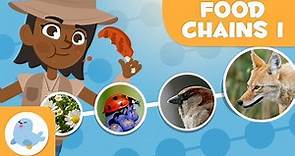 FOOD CHAINS for Kids 🌱⬅🐝⬅🐦⬅🐺 Trophic Levels 🌼 Episode 1