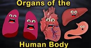 Organs of the Human Body Songs | Anatomy Education Songs