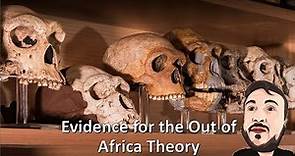 The Out of Africa Theory: Understanding the Evidence