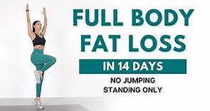 FULL BODY FAT LOSS in 14 Days - 40 min Standing Workout | No Jumping, Beginner Friendly