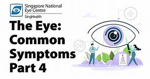 Common Eye Symptoms (Part 4): Floaters, Eye Strain & More