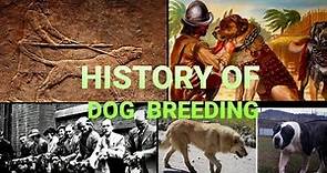 History Of Dog Breeding | From Antiquity To The Modern World