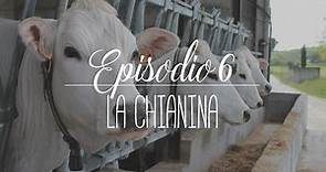 Valdichiana Lounge #6 - La Chianina