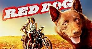 Official Trailer - RED DOG (2011, Josh Lucas, Rachael Taylor)