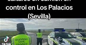 Seis muertos, entre ellos dos Guardias Civiles en Sevilla, al saltarse un camión el control policial