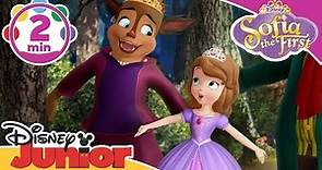 Sofia the First | Beauty is the Beast | Disney Junior UK