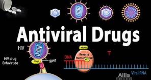 Antiviral Drugs Mechanisms of Action, Animation