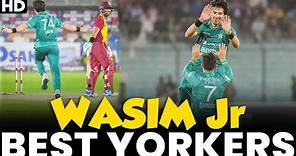 Mohammad Wasim Jr Best Yorkers | Pakistan vs West Indies | PCB | MK1L
