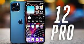 iPhone 12 Pro review: more shine