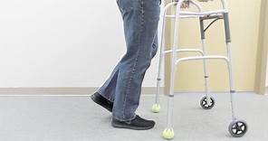 How to Use a Walker (Sizing, Training, and Use)