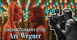 Cinematography Style: Ari Wegner