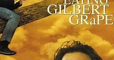 ¿A quién ama Gilbert Grape? (1993) Online - Película Completa en Español - FULLTV