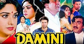 Damini 1993 Full Movie Facts & Review | Meenakshi Sheshadri, Sunny Deol, Rishi Kapoor, Amrish Puri