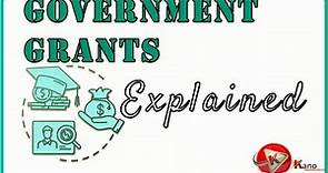 Learn about Grants | What is Government Grant? | Types of Grants & Incentives | Public Finance N5 N6
