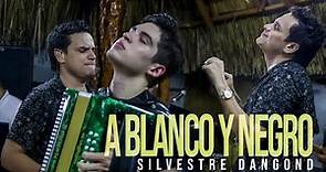 A Blanco y Negro - Silvestre Dangond, Ruben Lanao (En Vivo)