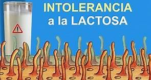 Intolerancia a la lactosa. Divulgación científica (IQOG-CSIC)
