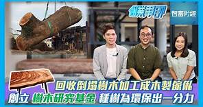 【創業軍師】 #香港木庫 │ 回收倒塌樹木加工成木製傢俬🪵創立「樹木研究基金 」🌳種樹為環保出一分力