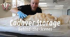 Behind-the-Scenes Look at How Human Cadavers Are Stored | Normally a Patreon Exclusive